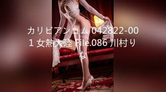 カリビアンコム 042822-001 女熱大陸 File.086 川村りな