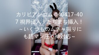 カリビアンコム 040417-407 視界侵入！たちまち挿入！ ～いくつものムチャ振りにも超マン圧で神対応～