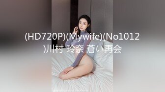 (HD720P)(Mywife)(No1012)川村 玲奈 蒼い再会