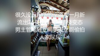 很久没出新货的坐盗市一月新流出26美金作品写字楼变态男主管尾随女同事进女厕偷拍人家尿尿