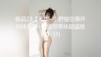 极品23【王炸~小野猫空乘开裆袜高跟+豹纹吊带袜超猛喷水】 (3)