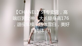 【CHANEL】ST专卖店，高端巨乳女神，大长腿身高176，退役车模，通体雪白，美好的肉体 (3)