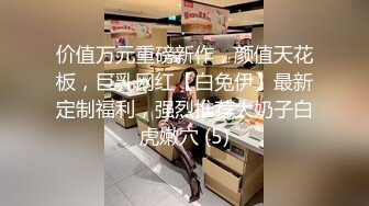 价值万元重磅新作，颜值天花板，巨乳网红【白兔伊】最新定制福利，强烈推荐大奶子白虎嫩穴 (5)