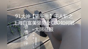 91大神【猫先生】千人斩之上海白富美强势女CEO如何被大屌征服