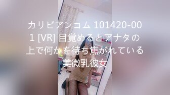 カリビアンコム 101420-001 [VR] 目覚めるとアナタの上で何かを待ち焦がれている美微乳彼女