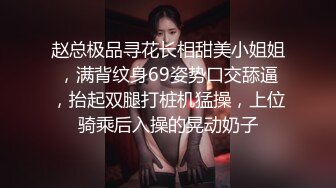 赵总极品寻花长相甜美小姐姐，满背纹身69姿势口交舔逼，抬起双腿打桩机猛操，上位骑乘后入操的晃动奶子