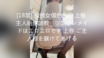 [18禁] 傲傲女僕色色的 上卷 主人給你調教 _ ツンツンメイドはエロエロです 上巻 ご主人様を躾けてあげる